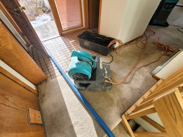 Best Professional water damage repair  in Leola, PA