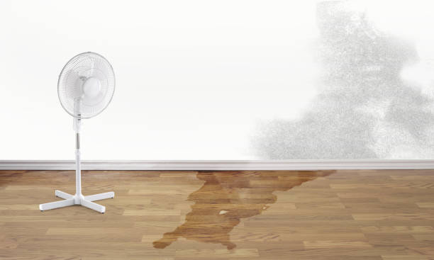 Best Residential water damage restoration  in Leola, PA