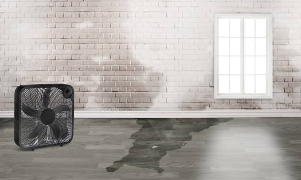 Best Residential water damage restoration  in Leola, PA