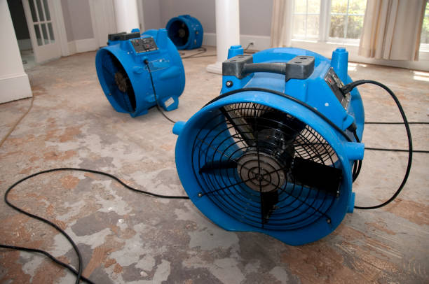 Professional Water damage restoration in Leola, PA