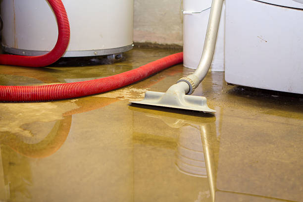 Best Sewage cleanup and water damage restoration  in Leola, PA
