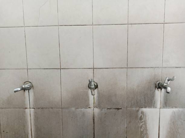 Best Flood restoration services  in Leola, PA