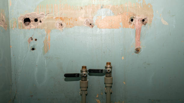 Best Flood damage cleanup  in Leola, PA