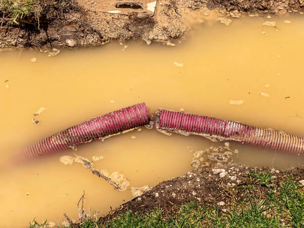 Best Basement water damage restoration  in Leola, PA