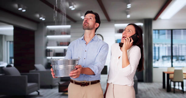Best Mold removal after water damage  in Leola, PA